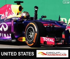 yapboz Sebastian Vettel ABD 2013 Grand Prix zaferi kutluyor